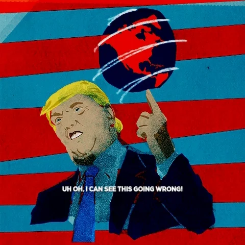 donald trump GIF