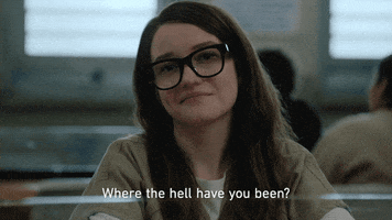 Where Have You Been GIF by NETFLIX