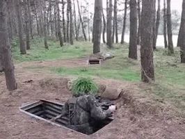 tree soldier GIF