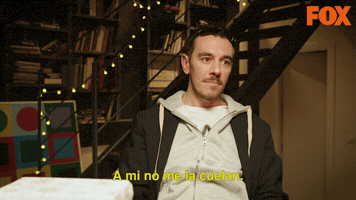 Fox GIF