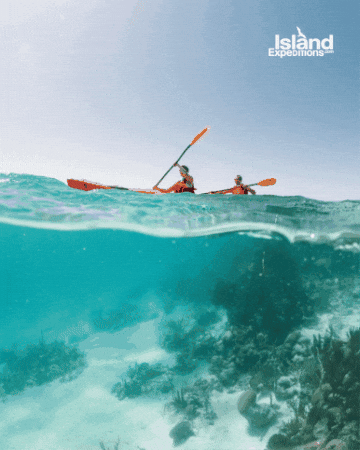 Kayak Belize GIF by Island Expeditions