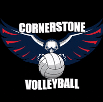 ccaeagle GIF