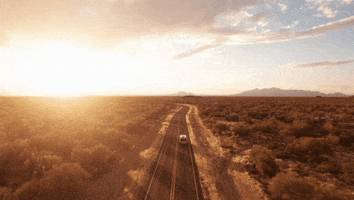 Boho Vans GIF