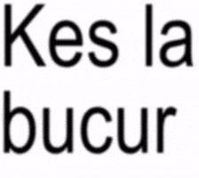 Garavel Usta GIF
