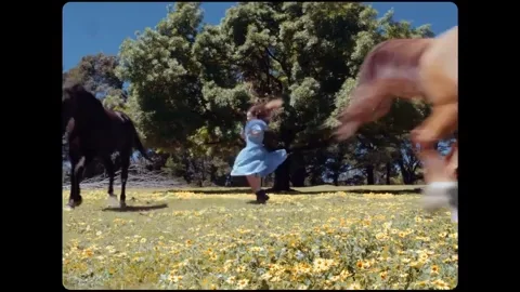 Horses Dancing GIF