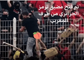 1962 GIF