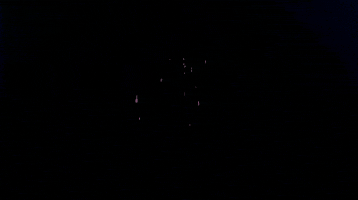 BeautyLaine GIF