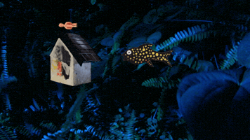 GIF by Carl Knickerbocker