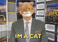 Norvina-cat GIFs - Get the best GIF on GIPHY