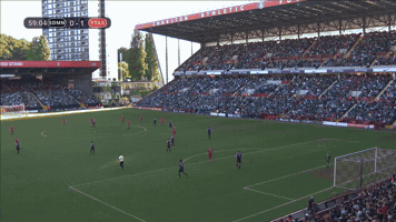 alezodendaal vikkstar123 GIF
