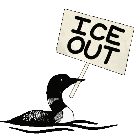 Protest Minnesota Sticker by Amanda Black