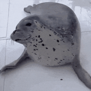 Hopperseal GIF