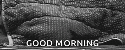 Video gif. Black-and-white shot of the bottom edge of a polka dot blanket, from which a cat pokes its head out. Text, "Good morning."