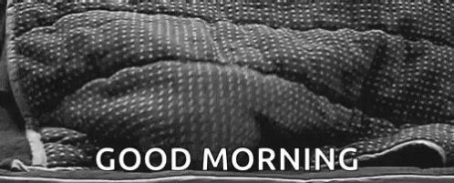 Good Morning GIF - Find & Share on GIPHY