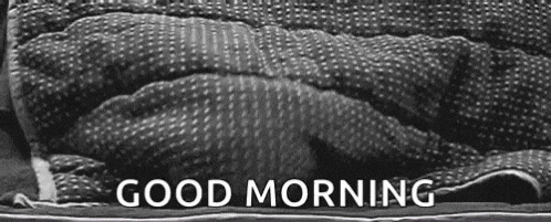 Giphy - Good Morning GIF