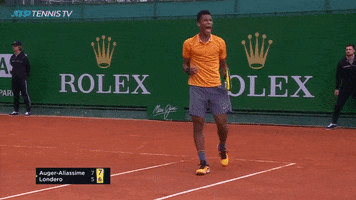 auger aliassime yes GIF by Tennis TV