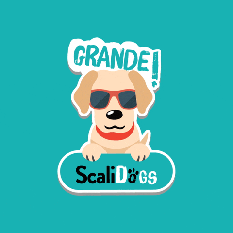 Dog Sunglasses GIF by Scalidogs