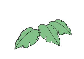 Sprout20 Sticker