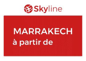 Skyairline Sticker by Skyline Airways