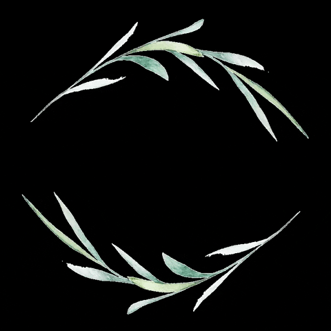 Nika Dee Creative GIF