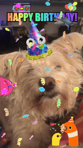giphy.gif