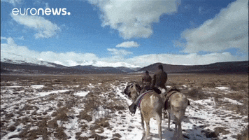 mongolia douhka GIF by euronews