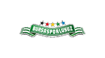 Football Soccer Sticker by bursasporluyuzorg