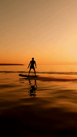 Video GIF´s GIFs on GIPHY - Be Animated