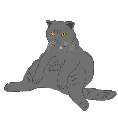 Cat Sticker