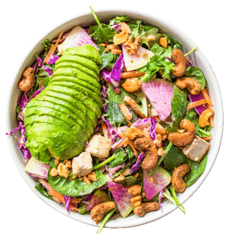 Sticker by Avocaderia