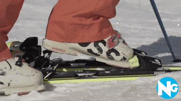 Ski Skiing GIF by skinewgen