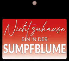 Sumpfblume GIF by Carola