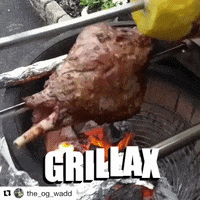 fire grilling GIF by Grillax®