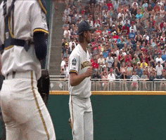 michigan baseball fist pump GIF by Michigan Athletics