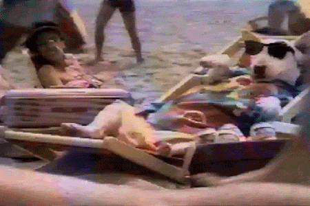 Relaxing Spuds Mackenzie GIF - Find & Share on GIPHY