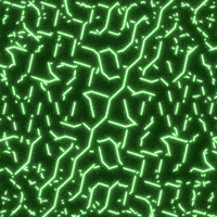 Laser-light-show GIFs - Get the best GIF on GIPHY Laser-light-show GIFs - Get the best GIF on GIPHY