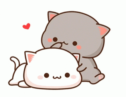 cute cats animated gif