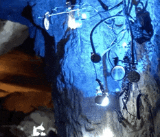 Audiovisual GIF