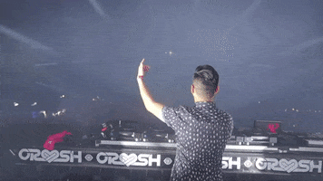 Martin Garrix Party GIF by Ravell