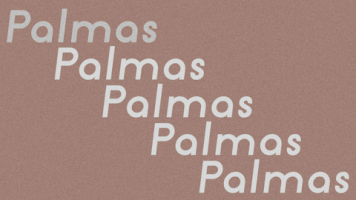 GIF by PALMAS