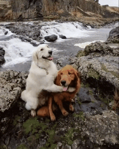 friendship enjoying GIF