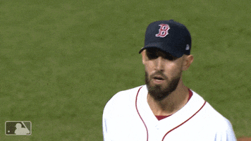 Red Sox Sport GIF by MLB