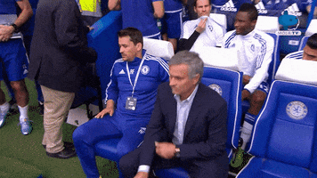 Chelsea What GIF by MolaTV