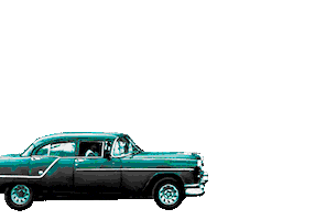 Havana Nights Miami Sticker by Concrete Beach Brewery