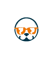 Seal Pieterburen Sticker by zeehondencentrum