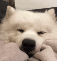 200.gif