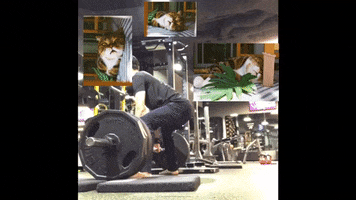 Animated GIF
