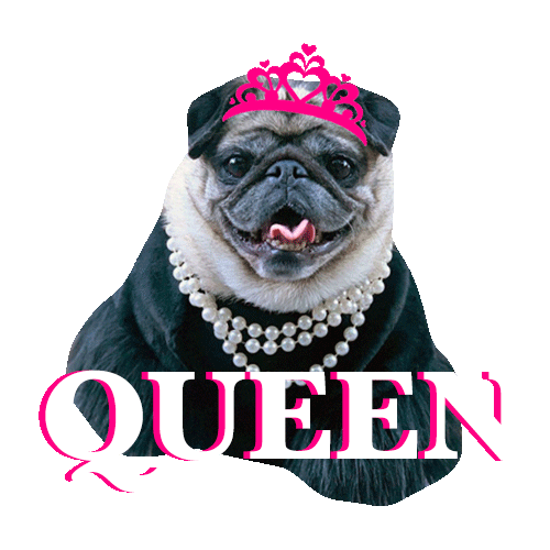 Queen Slay Sticker for iOS & Android GIPHY