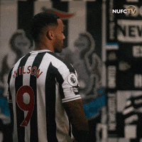 Callum Wilson GIFs - Find & Share on GIPHY