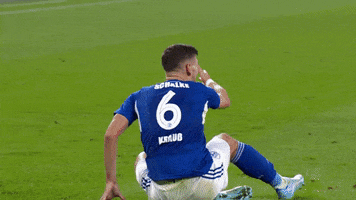 Angry Football GIF by FC Schalke 04